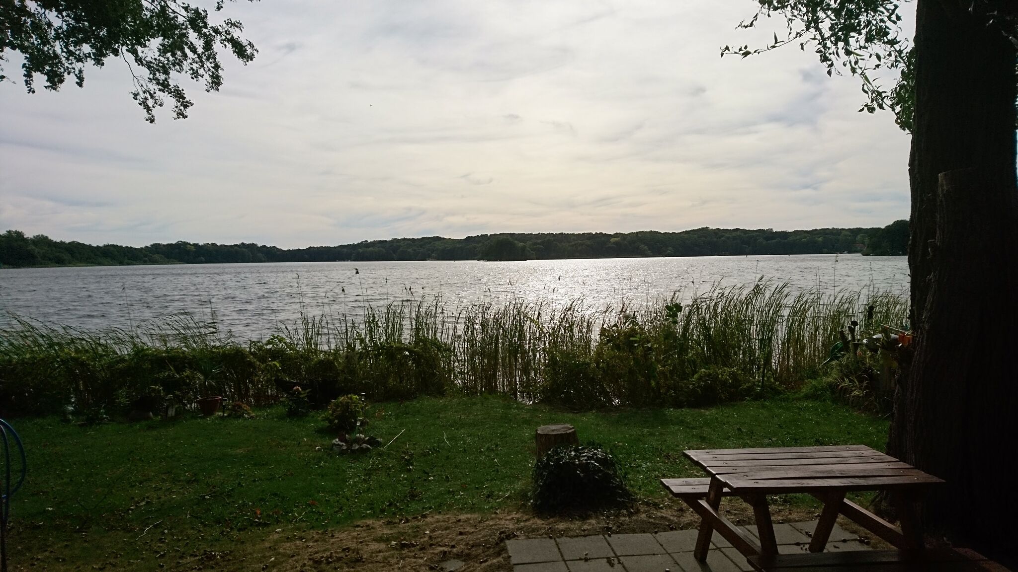 Wasserblick auf den Glindower See Wasserblick auf den Glindower See